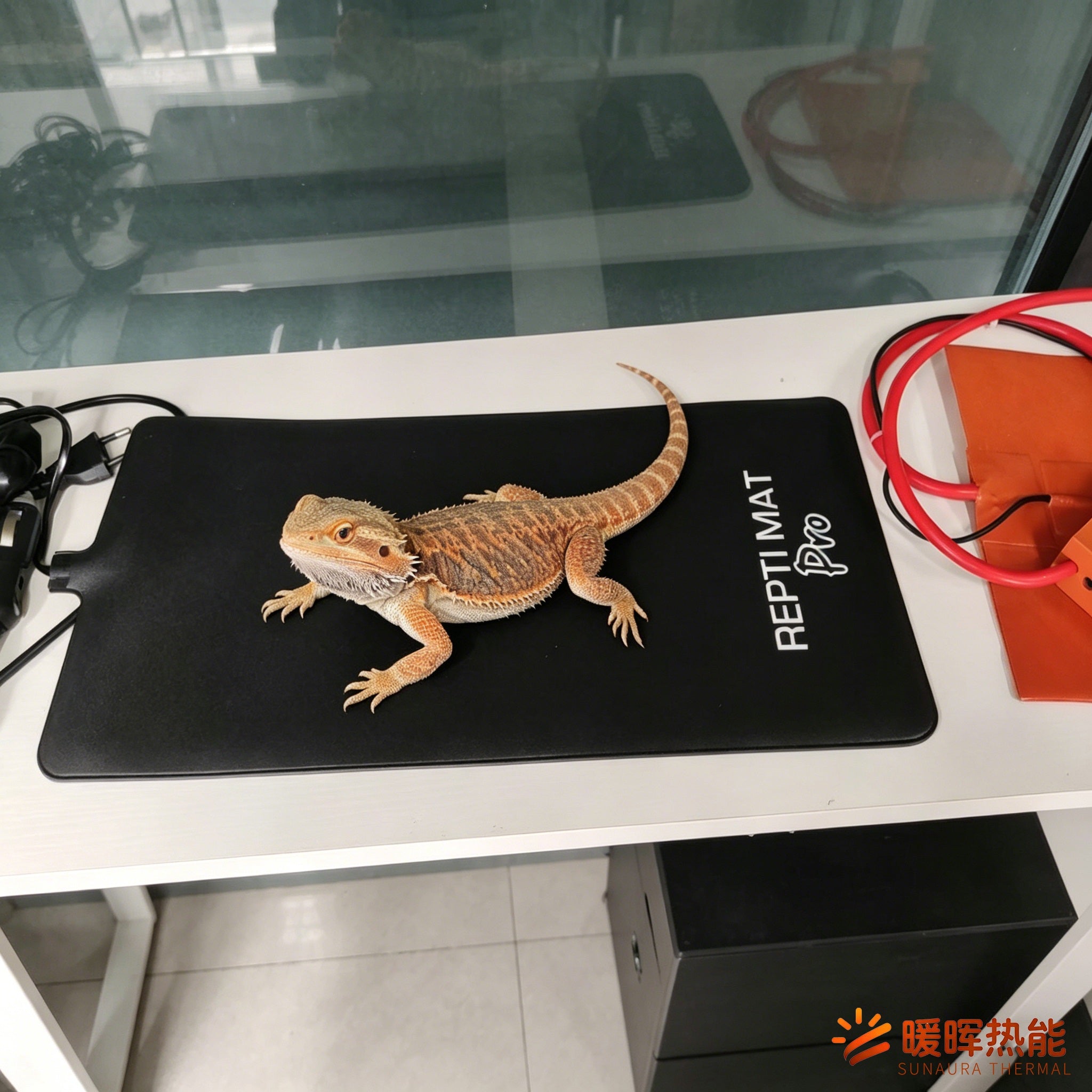 SunAura Thermal Pet Heating Pad Pet Heating mat  Pet Heating Pad Electric Indoor Waterproof for Reptiles, 8" x 12" inch – OEM/ODM